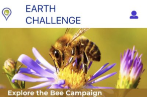 Earth Challenge 2020