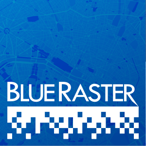 Blue Raster LLC