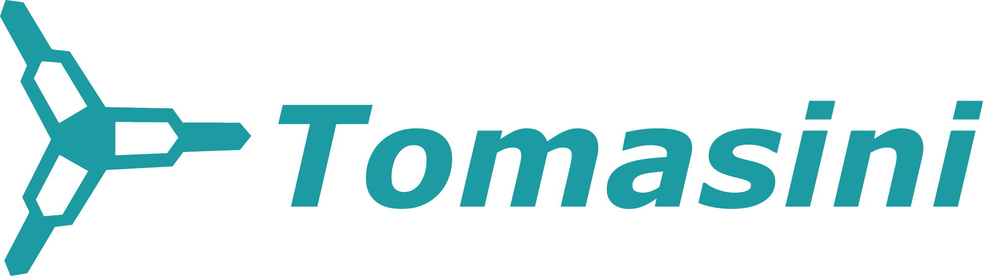 Tomasini Geo-Tecnologias Ltda