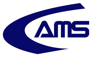 AMS CONSULTING