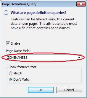 The Page Definition Query window displaying the Page Name field.