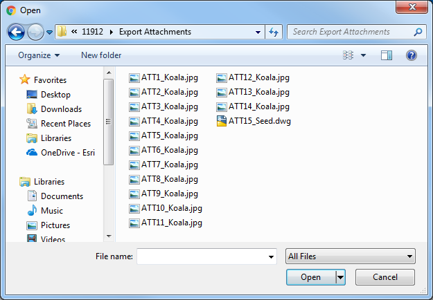 An image of the exported attachments in a folder.