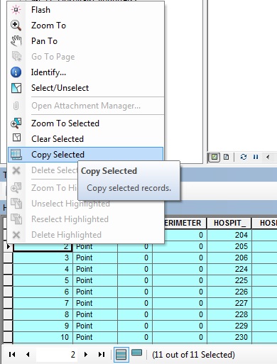 Right-clicking the left-most column of the attribute table displays the Copy Selected option.