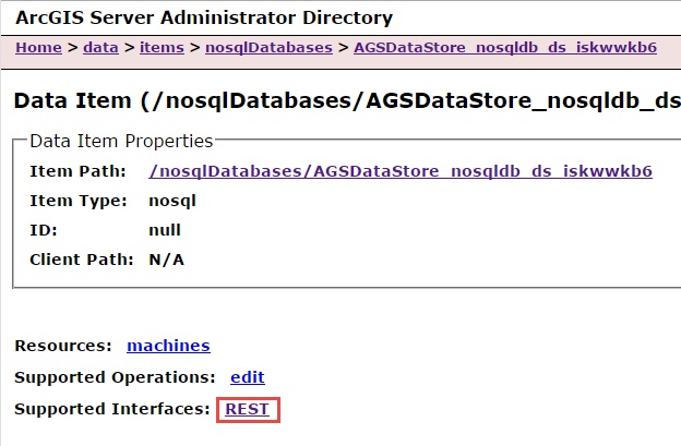 [O-Image] ArcGIS Server Administrator REST supported interface