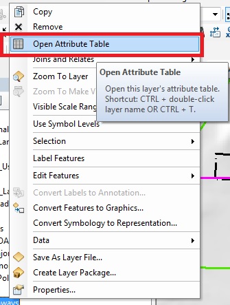 How To: Make the FeatureID (FID) Field Available to Spatial Analyst Tools  That Take Featur