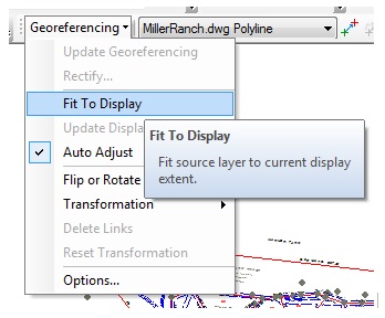 The Georeferencing drop-down menu displaying the Fit To Display option.