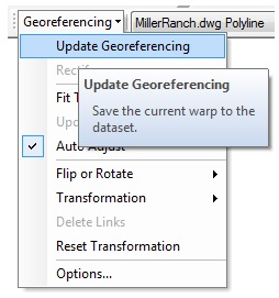 The Georeferencing drop-down list displaying the Update Georeferencing option.