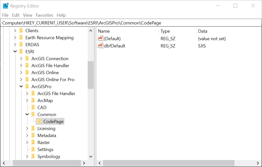 Updated Registry with new code page setting for ArcGIS Pro