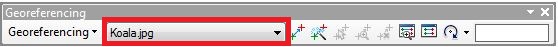 This is a picture of the Georefencing toolbar, with the image specified
