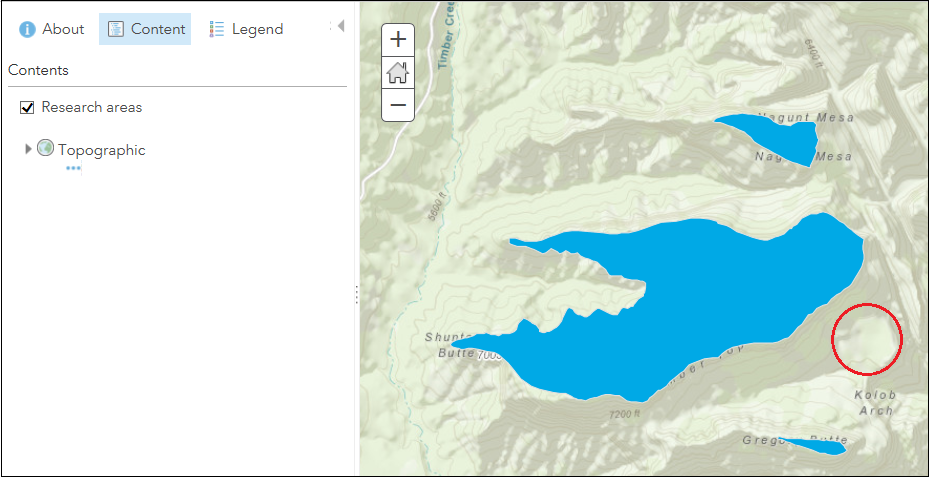 The edits are not preserved in ArcGIS Online Map Viewer