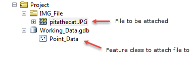 Place all data in one folder.