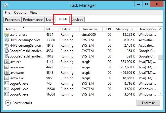 The image of the Details tab on the Windows Task Manager