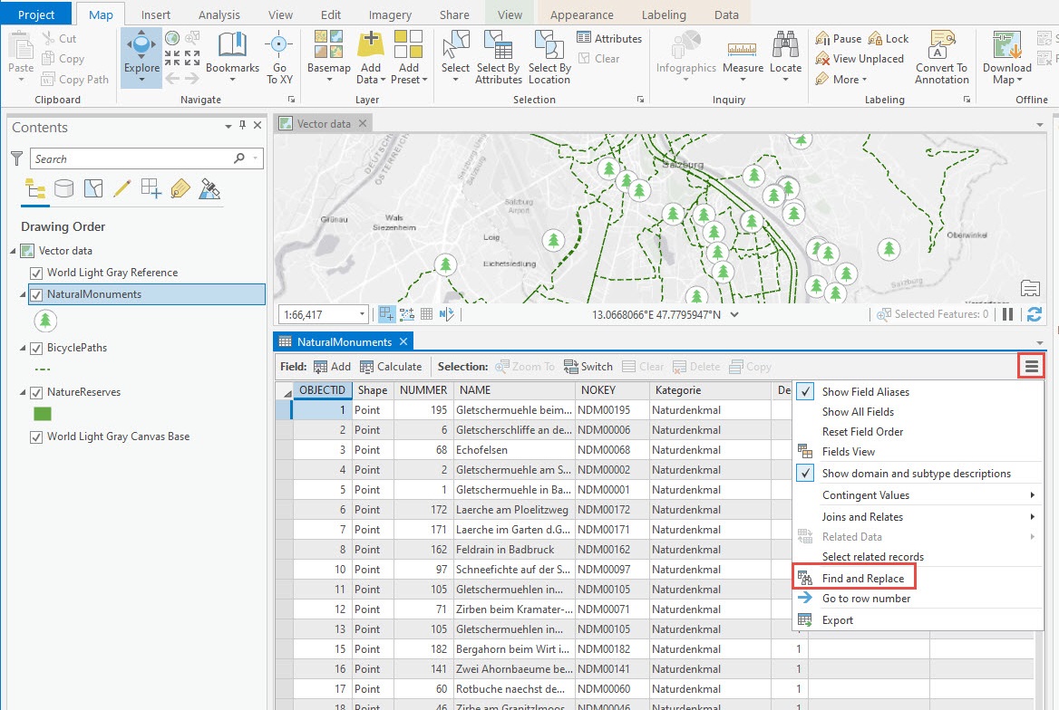 The Find and Replace tool as seen in ArcGIS Pro 2.5 and later