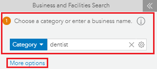 Choose a category or enter a business name and More options option