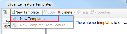 An image of the Organize Feature Templates dialog box.