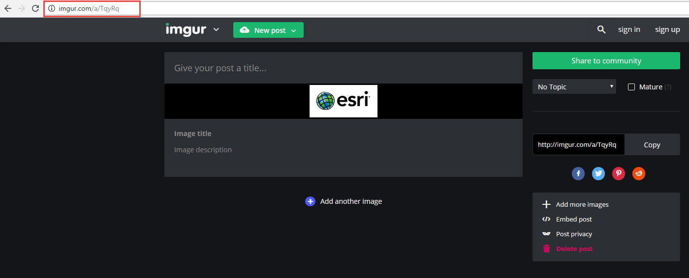 Screenshot showing Imgur website with URL that does not end in .jpg, .tif, .png, etc.