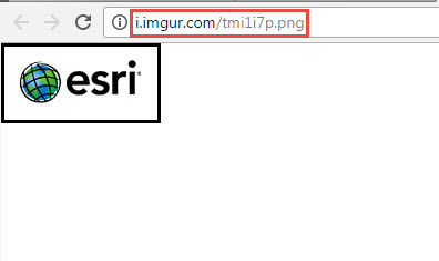 Image showing a good URL that ends in .jpg and only has the image on the page, nothing else.