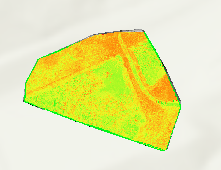 The result of the raster's NDVI calculation