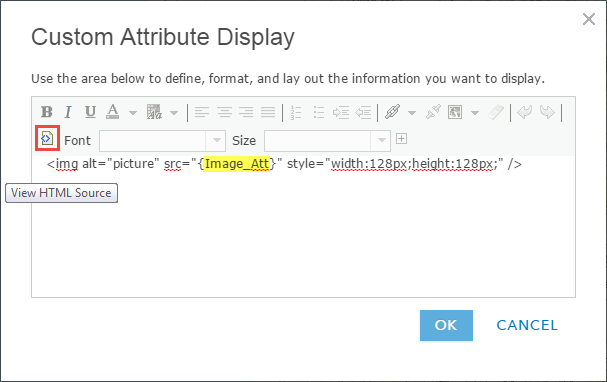 The HTML editor in the Custom Attribute Display window