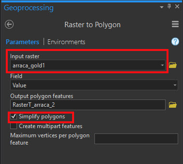 Input for the Raster to Polygon tool