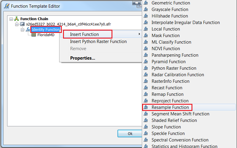 An image of the Function Template Editor.