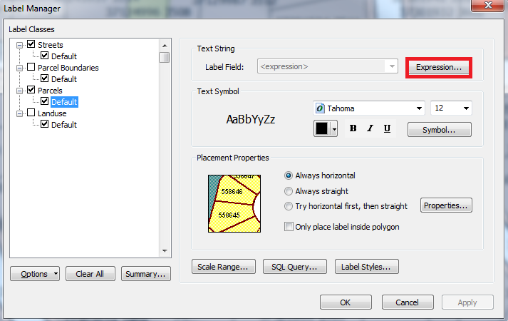 Screenshot of the Label Manager with Expressions... highlighted.