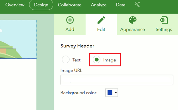 The Image option is enabled in the Survey Header.