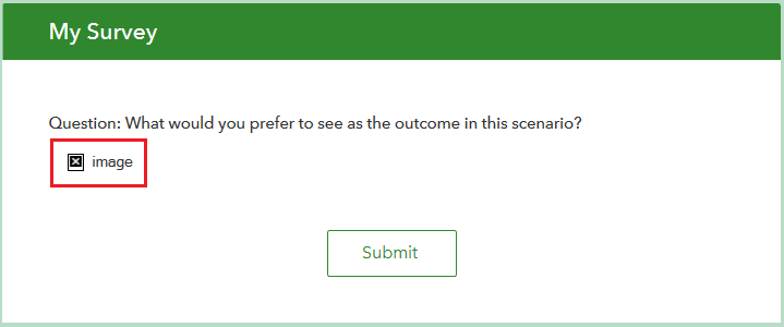 The published survey form does not display the image