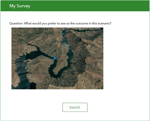 The image appears in the published survey form