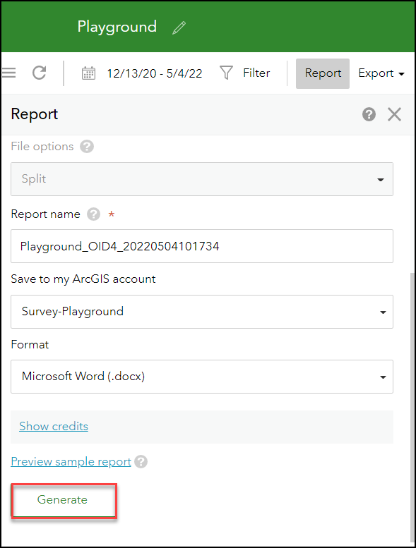 The Generate button is highlighted in the Report pane.