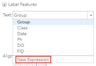 Screenshot of the label option with New Expression