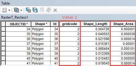 Attribute table of the polygon feature class