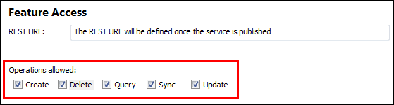 An image of the feature service operations checkbox.