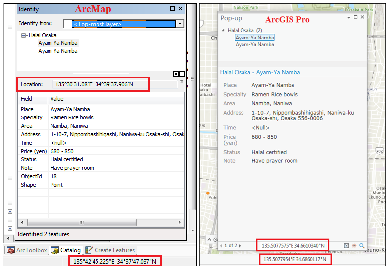 This is the XY data displayed in ArcMap (left image) and ArcGIS Pro (right image).