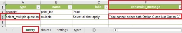 The Constraint message in the survey worksheet.