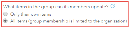 'What items in the group can its members update?' option