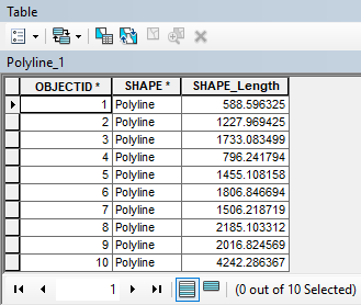 The attribute table of the polyline feature