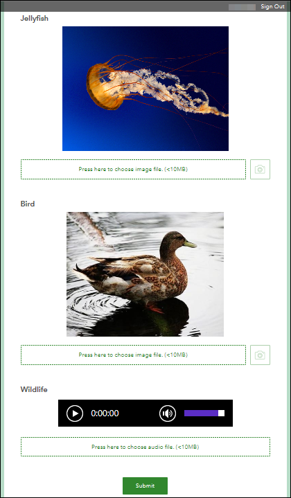 The ArcGIS Survey123 web app window showing the Bird and Jellyfish images, and Wildlife audio displayed