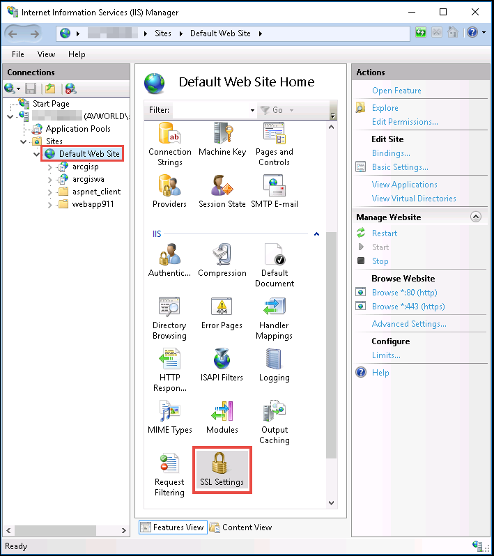 The Internet Information Services (IIS) Manager pane