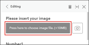 Clicking Press here to choose image file. (<10MB) in the Editing pane