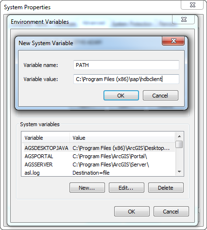 Image of the New System Variable dialog box