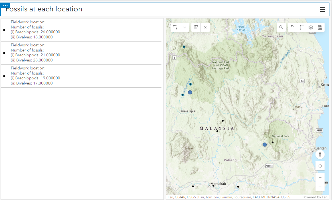 Three records out of nine related records appear in the List element (target field) when one data in the Map element (source field) is selected.