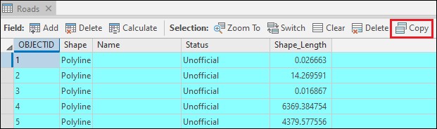 The Copy records button in the attribute table.