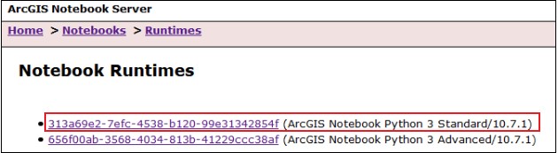 ArcGIS Notebook Server page
