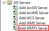 Add WMTS Service