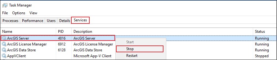 Task Manager window.