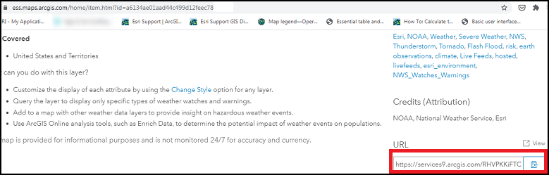 Image showing an item's REST URL in the item's item details page in ArcGIS Online.