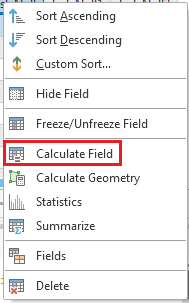 The Calculate Field option