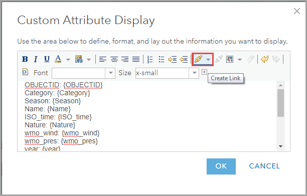The Custom Attribute Display window
