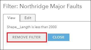 Image of the Filter window